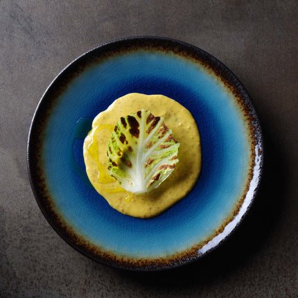 Lazur flat plate, 254mm