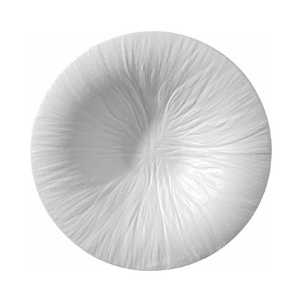 Fiord pasta plate 250 mm