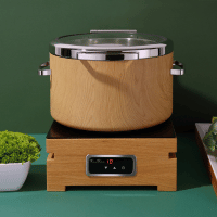 Built-in induction cooker 1000 W, 350x350mm