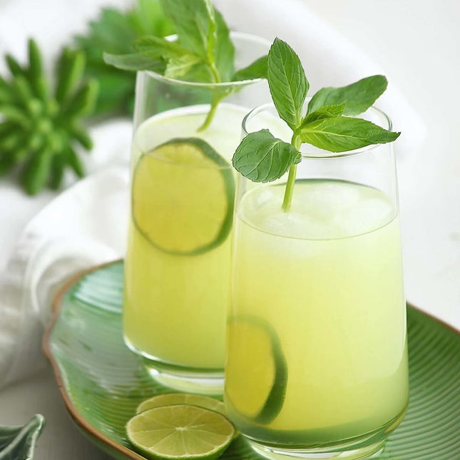 LAV Lyon Long Glass 480 Ml - Elegant Durable Glassware For Everyday Use Perfect For Entertaining And Daily Dining