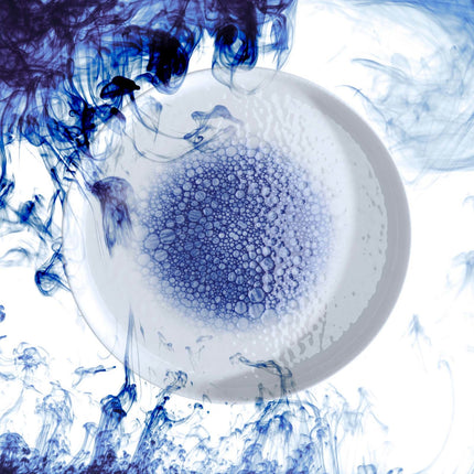 Serenity pasta plate, 260mm