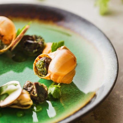 Beryl flat plate, 254mm