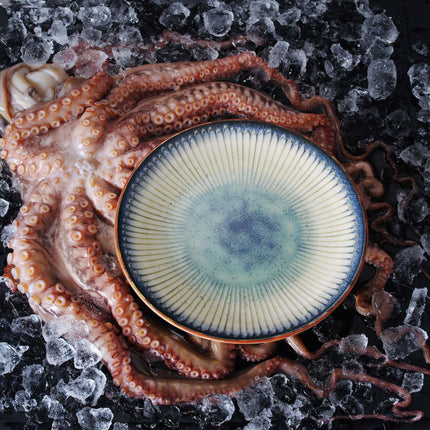 Galaxy high edge plate, 290mm