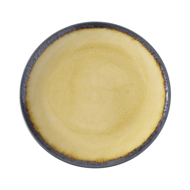 Topaz flat plate, 254mm