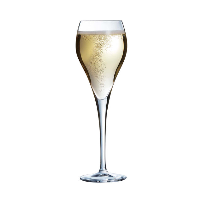 Brio Flute Champagne Glass - Modern Design With Ultra Thin Rim And Conical Bowl 160ml