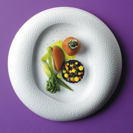 Fizz gourmet plate 270mm